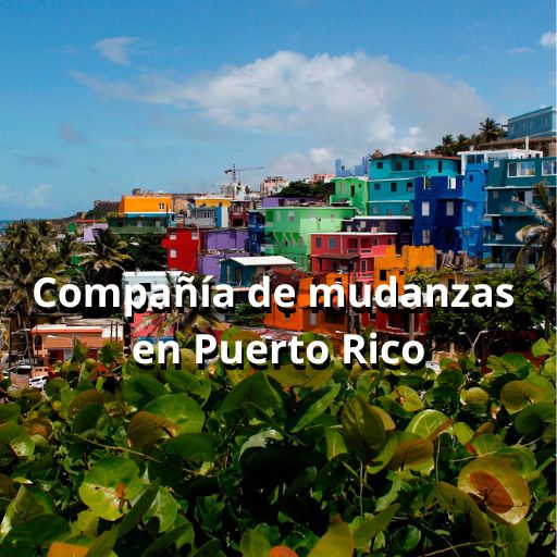 compania de mudanzas en Puerto Rico