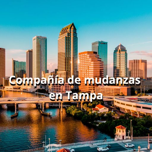 compania de mudanzas en Tampa